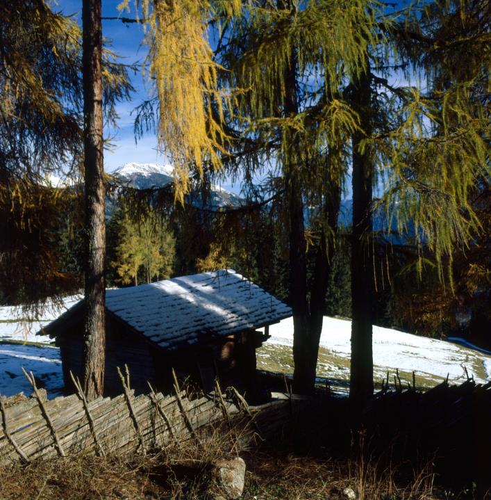 Faschingalmstraße - Hütte