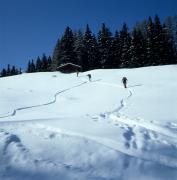 Tour Lavantspitze