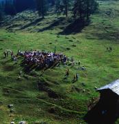 Lienzer Dolomiten - Bergmesse - Weißsteinalm