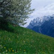 Lienzer Dolomiten - Spitzkofel
