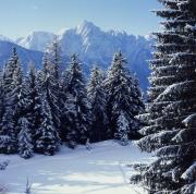 Dolomiti di Lienz - Monte Spitzkofel