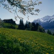 Lienzer Dolomiten - Laserz
