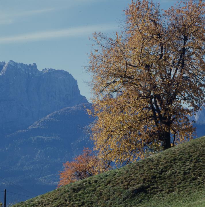 Lienzer Dolomiten - Keilspitze