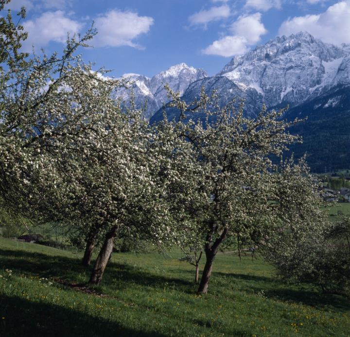 Lienzer Dolomiten - Keilspitze