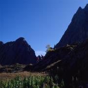 Lienzer Dolomiten - Hallebachtal