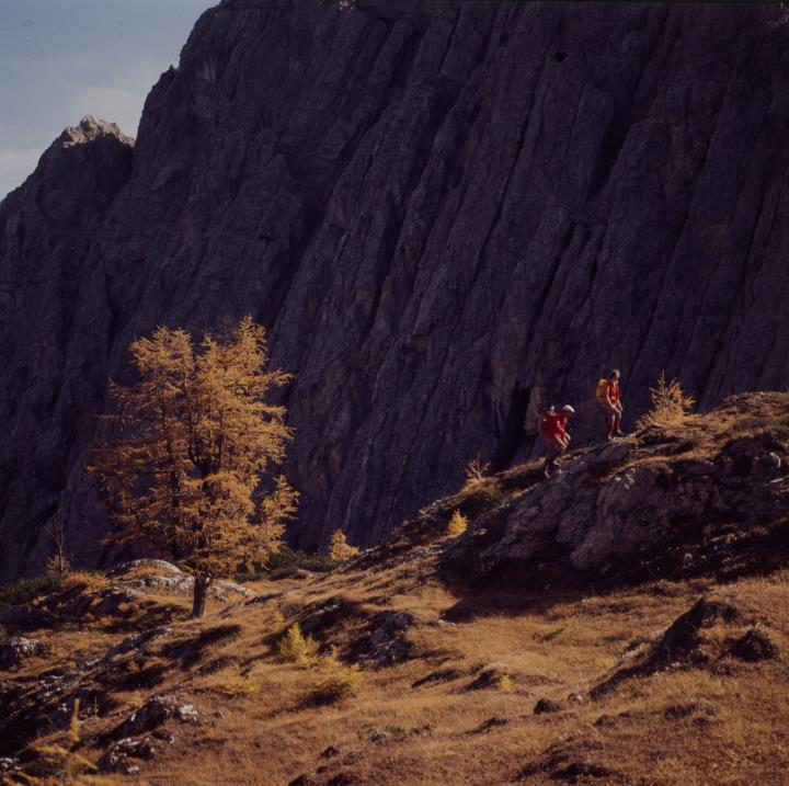 Lienzer Dolomiten - Hallebachtal