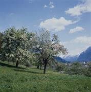 Lienzer Dolomiten - Kärntner Tor