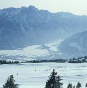 Zettersfeld - Schilauf