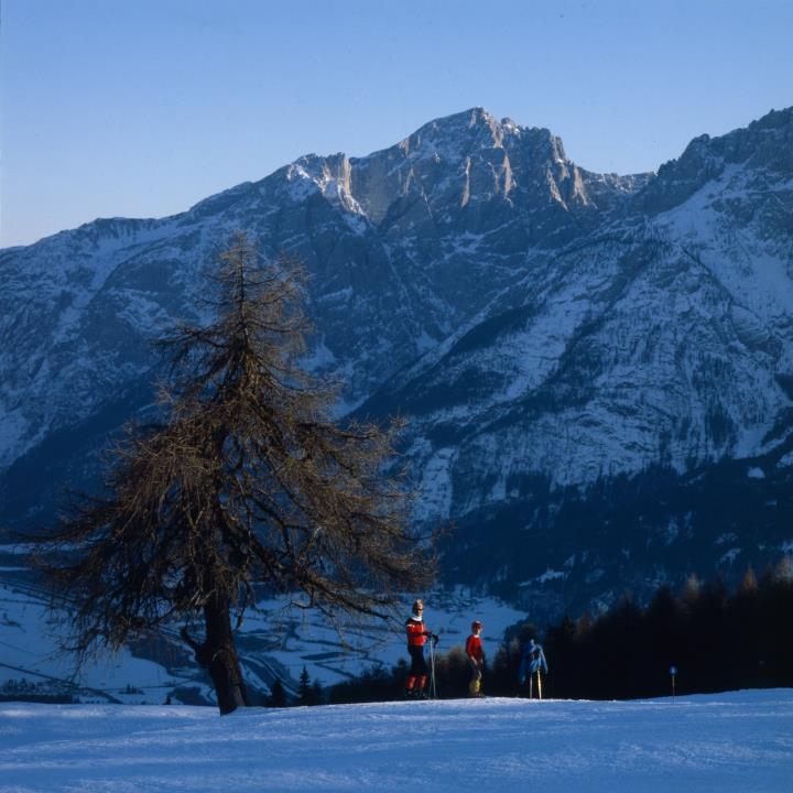 Zettersfeld - Schilauf