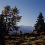 Debanttal - Hochschober