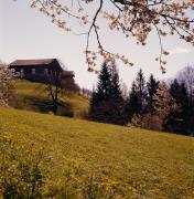 Gaimberg - Bauernhöfe