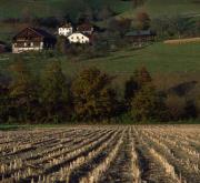 Gaimberg - Felder