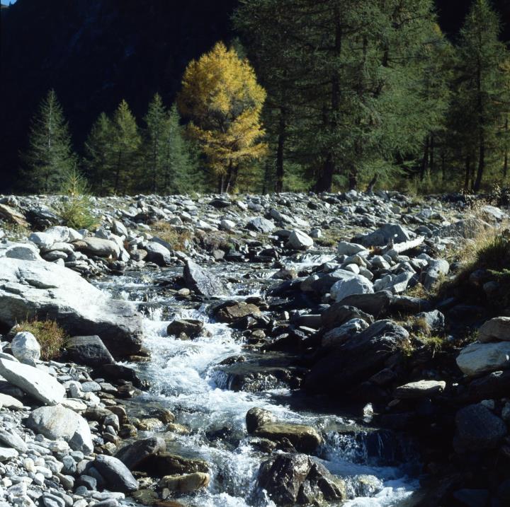 Debanttal - Debantbach
