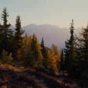 Debanttal -  Lienzer Dolomiten