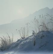 Tristach - Prati - Inverno