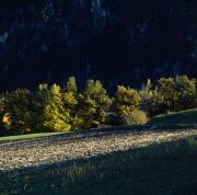 Amlach - Felder