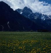Amlach - Campi