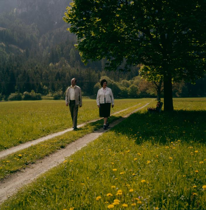 Amlach - Felder