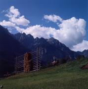 Leisach - Felder