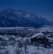 Blick auf Lienz vom Gaimberg, Bäume im Vordergrund