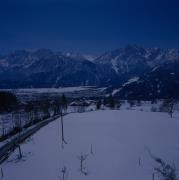 Blick auf Lienz vom Gaimberg, Bäume im Vordergrund