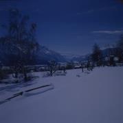 Blick auf Lienz, Birke im Vordergrund