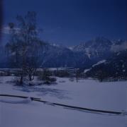 Blick auf Lienz, Birke im Vordergrund