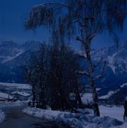 Blick auf Lienz, Birke im Vordergrund
