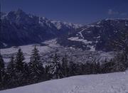 Blick auf Lienz, Bäume im Vordergrund