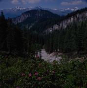 Diversi motivi sul sentiero per il rifugio Karlsbaderhütte