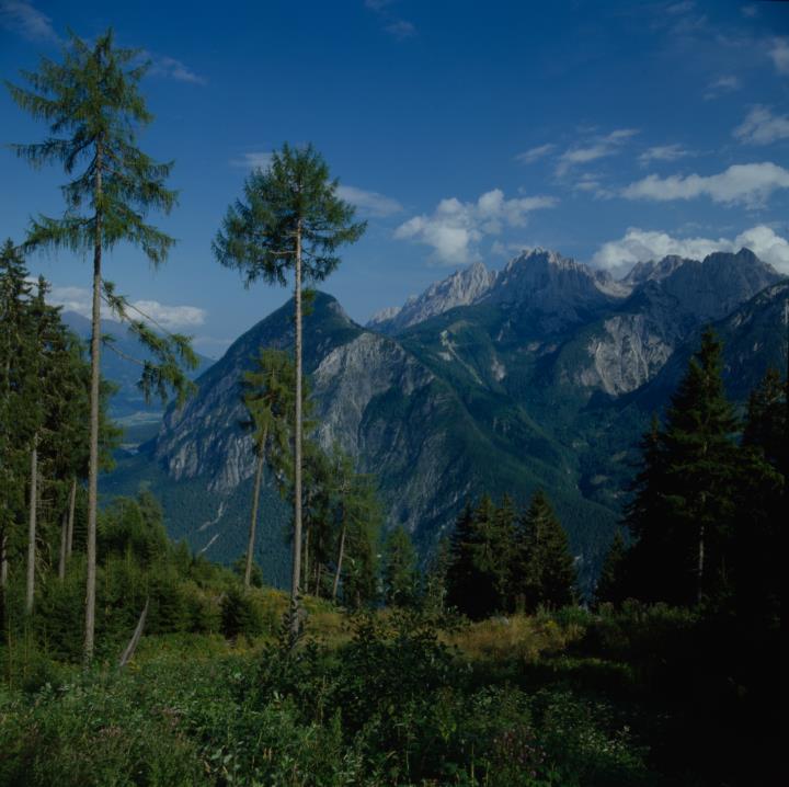 Reiter Alm, Schlossberg