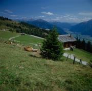 Rottmann Alm am Zettersfeld