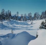 Schlossberg: Diverse Motive