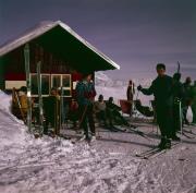 Zettersfeld Lienz - Mandl-Hütte