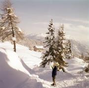 Zettersfeld Lienz