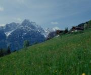 Tschitscherhöfe am Schlossberg