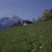 Tschitscherhöfe am Schlossberg