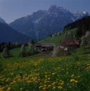 Tschitscherhöfe am Schlossberg