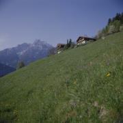 Masi Tschitscherhöfe al Schlossberg