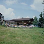 Sternalm - Hochstein - Blumen im Vordergrund