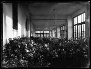 Ripresa interno. Stanza con fiori