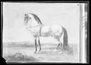 Rproduzione. Dipinto