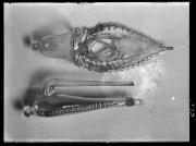 oggetto (Positivo) di Fotostudio Waldmüller (1909/01/01 - 1909/12/31)