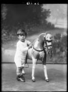 cavallo (Positivo) di Fotostudio Waldmüller (1928/01/01 - 1929/12/31)