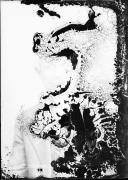 Ripresa in studio. Ritratto di un uomo. Informazioni nel registro (nr. 4): Fait Johann