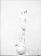 oggetto (Positivo) di Fotostudio Waldmüller (1940/10/01 - 1940/10/31)