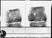 Riproduzione. Due impronte digitali