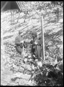 cappello (Positivo) di Fotostudio Waldmüller (1909/01/01 - 1909/12/31)