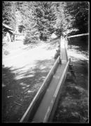 bosco (Positivo) di Fotostudio Waldmüller