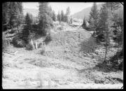 bosco (Positivo) di Fotostudio Waldmüller